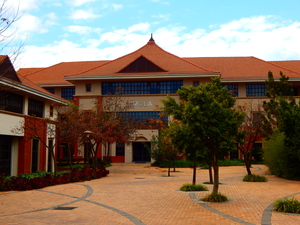 498m² Office Space to rent at The Campus in Bryanston