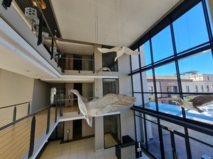 195m² Office Space to rent at The Forum - Century City in Century City