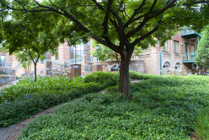 118m² Office Space to rent at Glen Manor Office Park in Menlyn