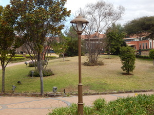 498m² Office Space to rent at The Campus in Bryanston