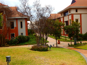 498m² Office Space to rent at The Campus in Bryanston