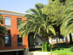 264m² Office Space to rent at Viscount Office Park in Bedfordview