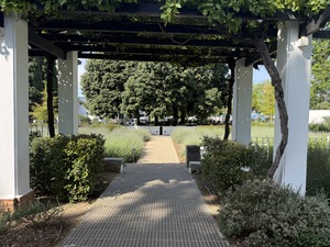 616m² Office Space to rent at La Concorde in Paarl