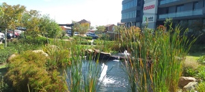 333m² Office Space to rent at Hertford Office Park in Waterfall