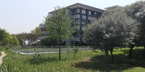 78m² Office Space to rent at Woodlands Office Park in Woodmead