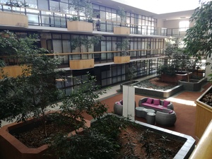 174m² Office Space to rent at Atrium Terrace in Ferndale