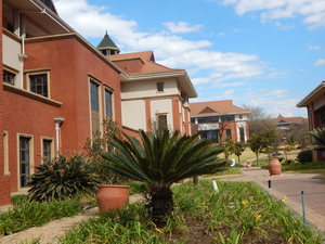 498m² Office Space to rent at The Campus in Bryanston