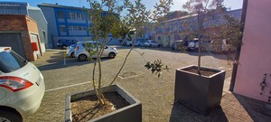 451m² Warehouse to rent at The Meat Factory in Maitland