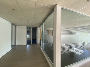 250m² Office Space to rent at Brandwacht Office Park in Brandwacht
