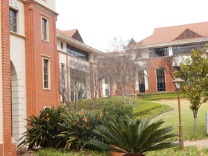 498m² Office Space to rent at The Campus in Bryanston