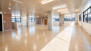 270m² Office Space to rent at Woodstock  Studios in Woodstock
