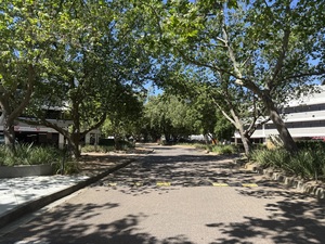 9 092m² Office Space to rent at Golf Park in Mowbray