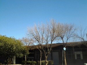 311m² Warehouse to rent at Ben 12 in Benrose