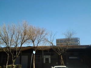 311m² Warehouse to rent at Ben 12 in Benrose