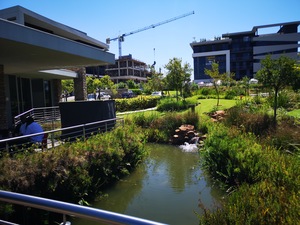 1 500m² Office Space to rent at Hertford Office Park in Waterfall