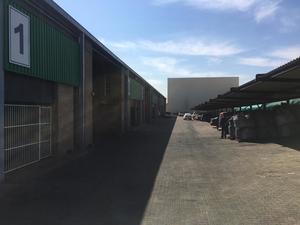 379m² Warehouse to rent at Cedar Industrial Park in Strijdompark