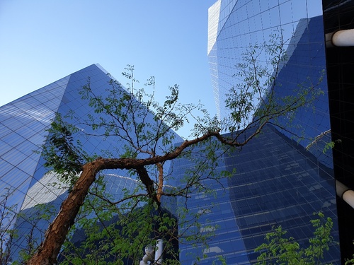 182m² Alice Lane - Building 3, Sandton Central