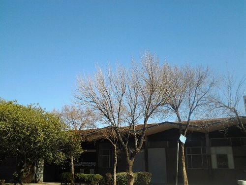 311m² Ben 12, Benrose