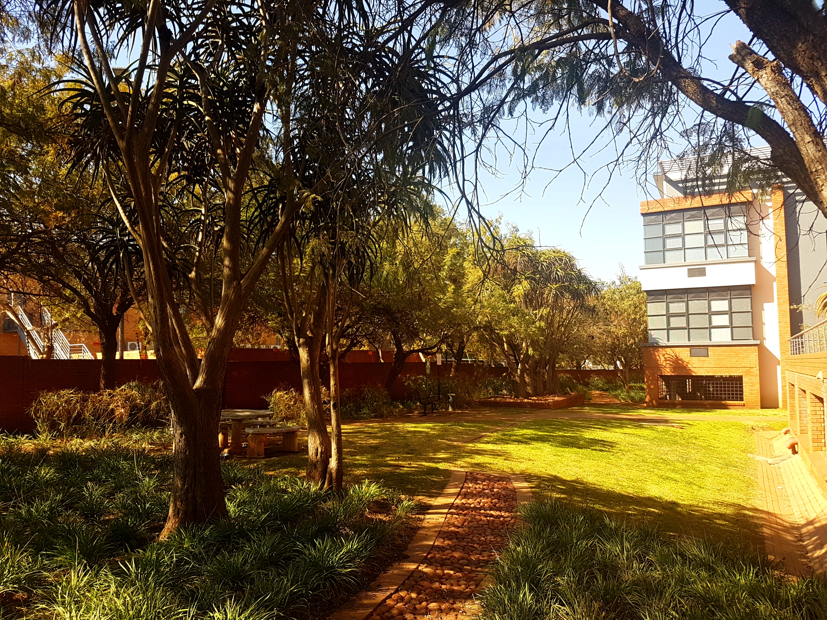 131m² Office Space to rent at Eco Fusion 4 in Highveld Techno Park