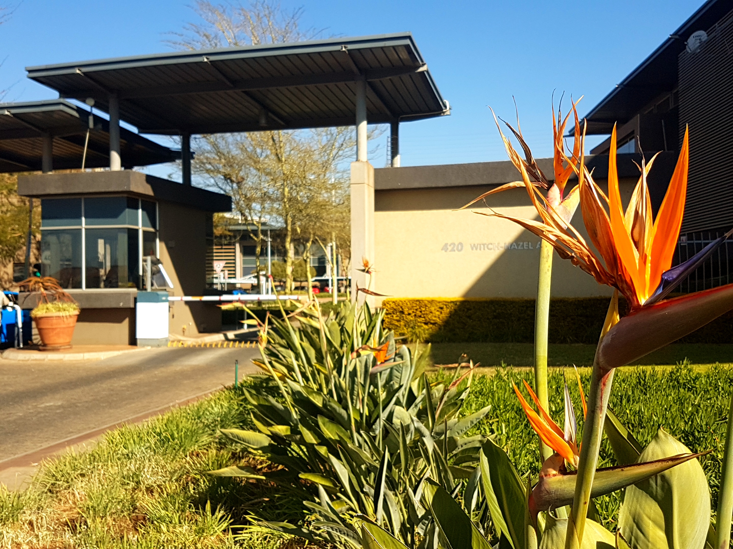 5 854m² Office Space to rent at Eco Glades 2 in Highveld Techno Park