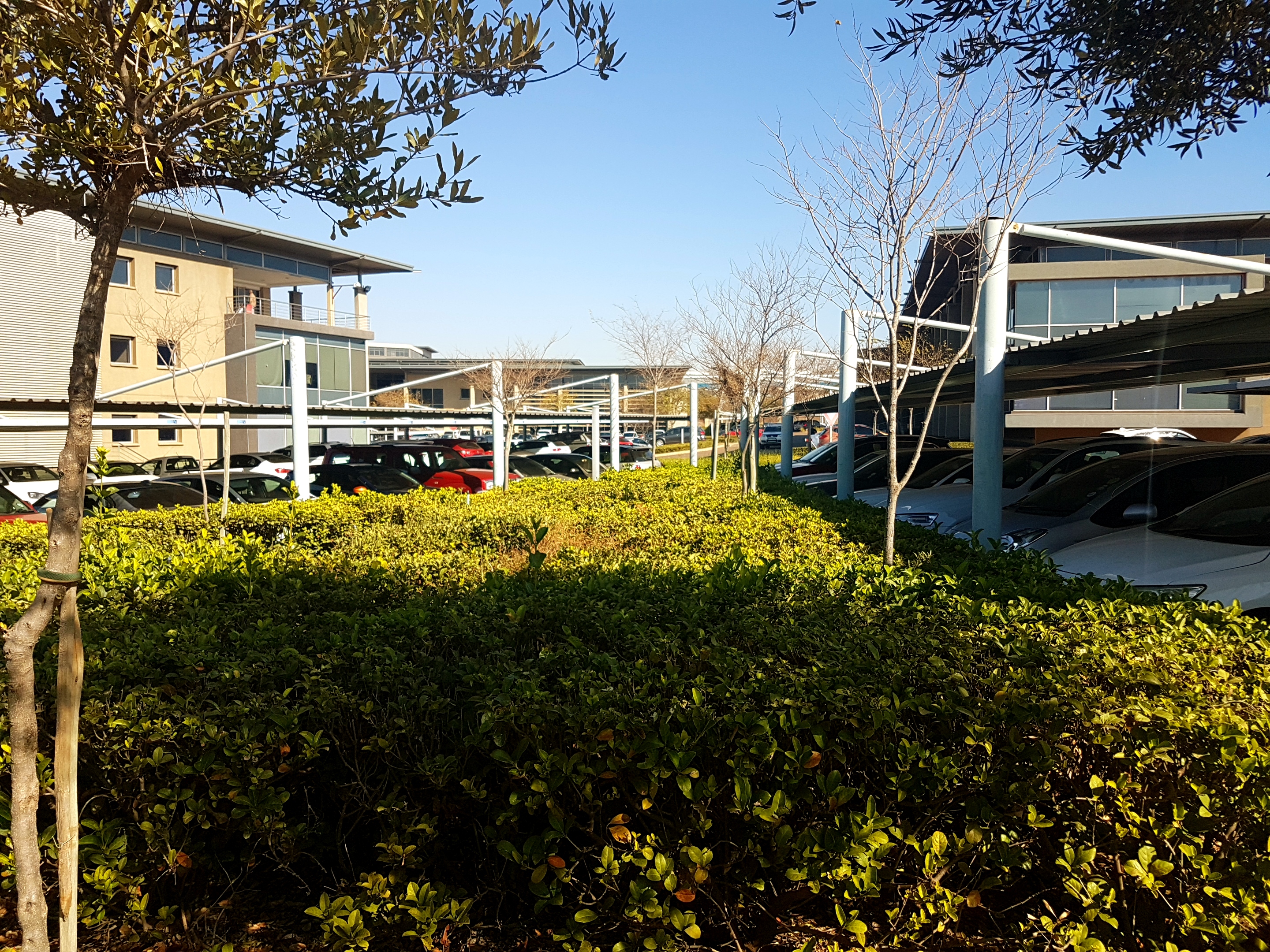 5 854m² Office Space to rent at Eco Glades 2 in Highveld Techno Park