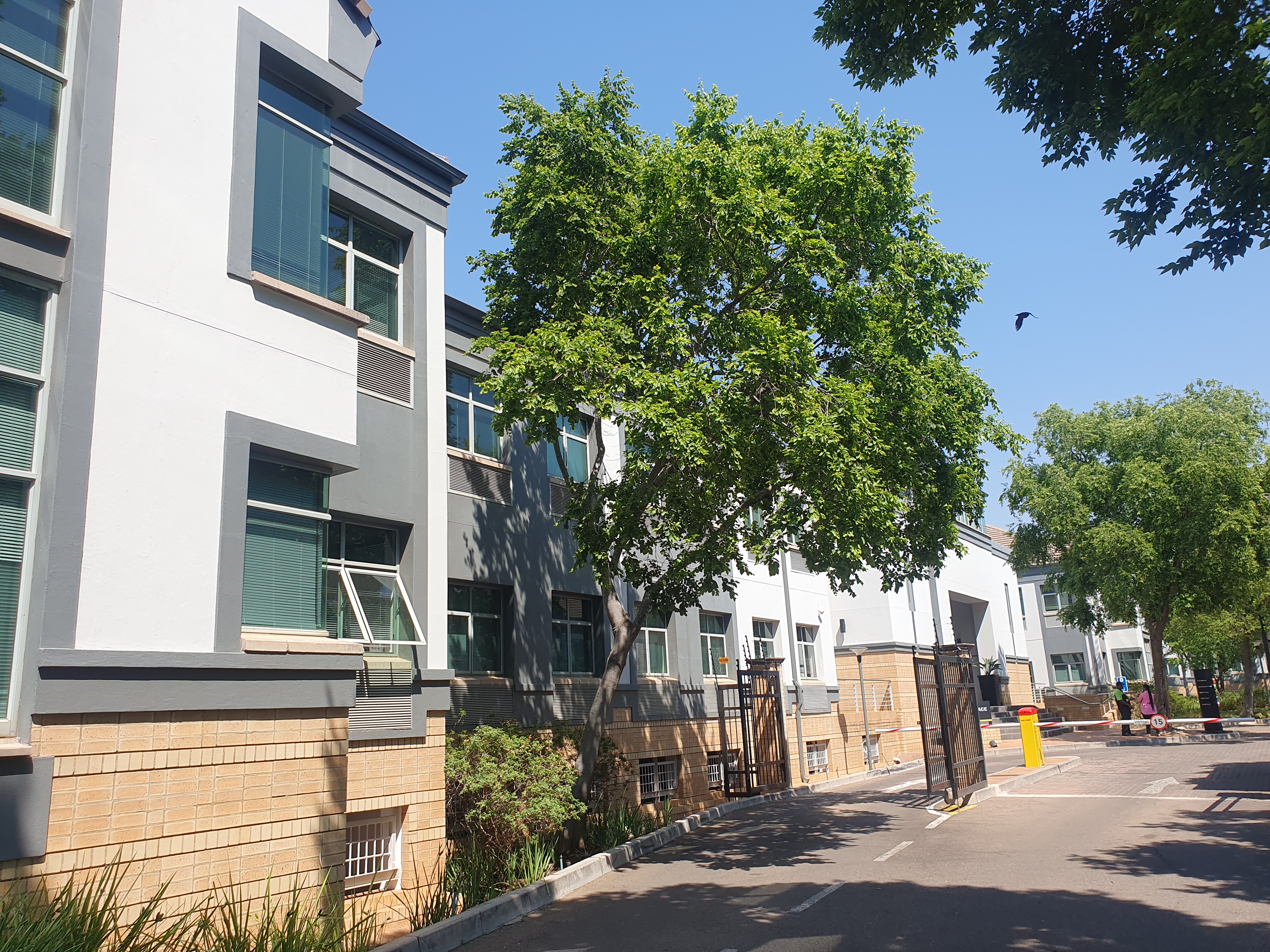Office Space to rent at Hillcrest Office Park (189 Lunnon Road) in Hillcrest