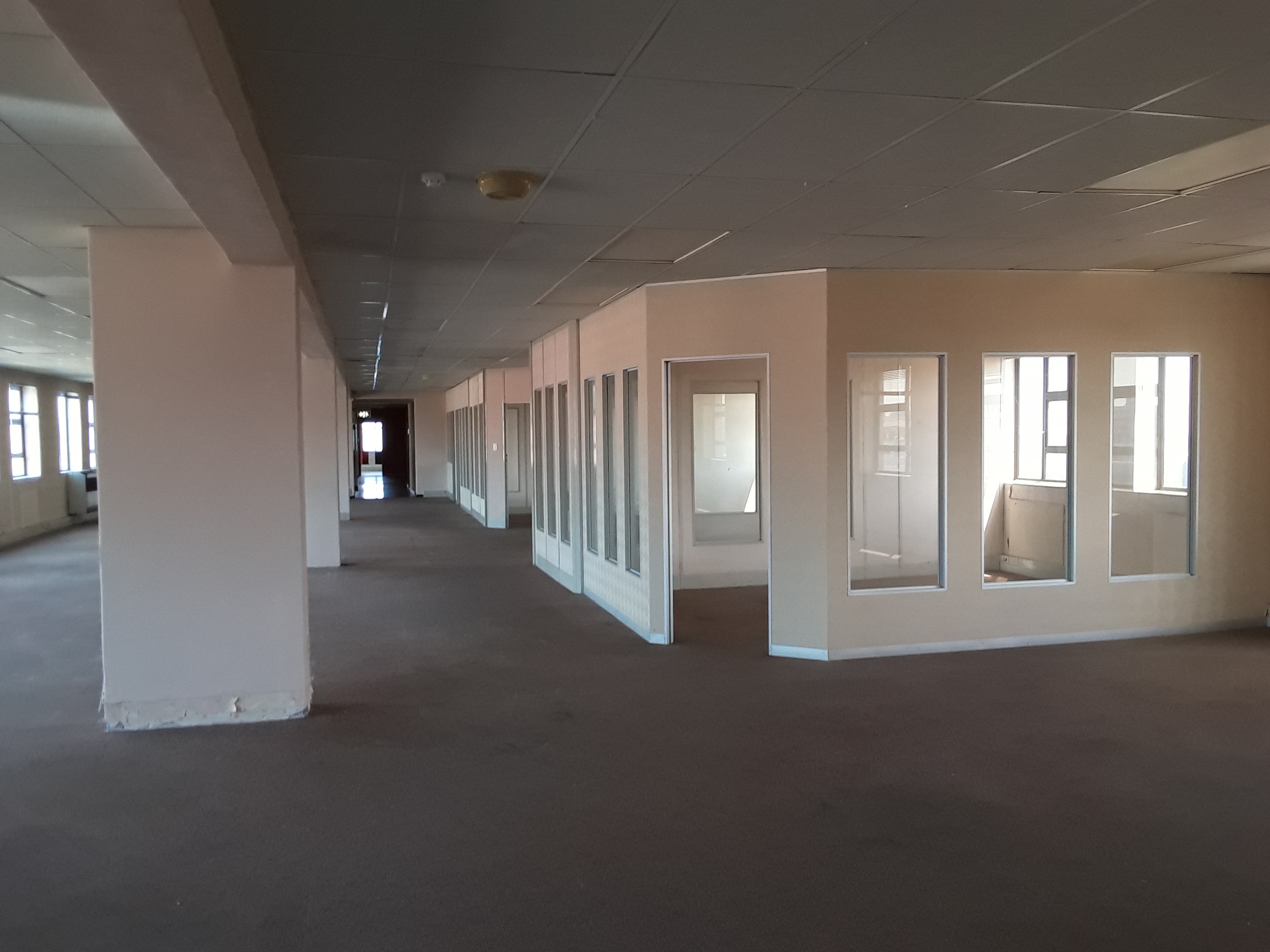 800m² Office Space to rent at Surrey Ave in Ferndale