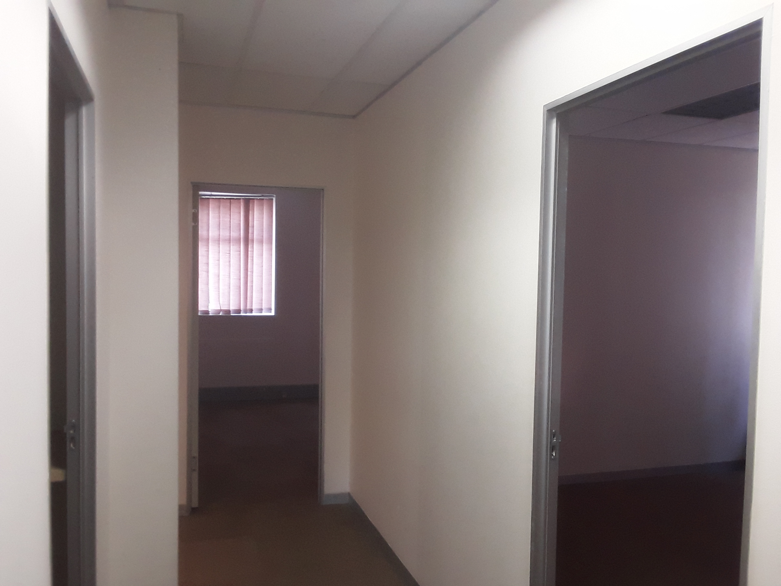 129m² Office Space to rent at 345 on Main in Ferndale