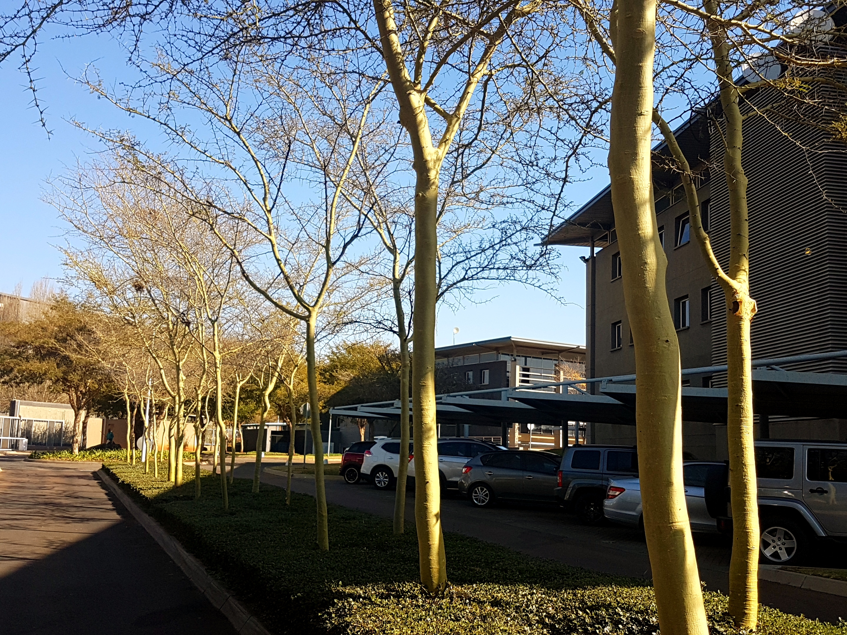 5 854m² Office Space to rent at Eco Glades 2 in Highveld Techno Park