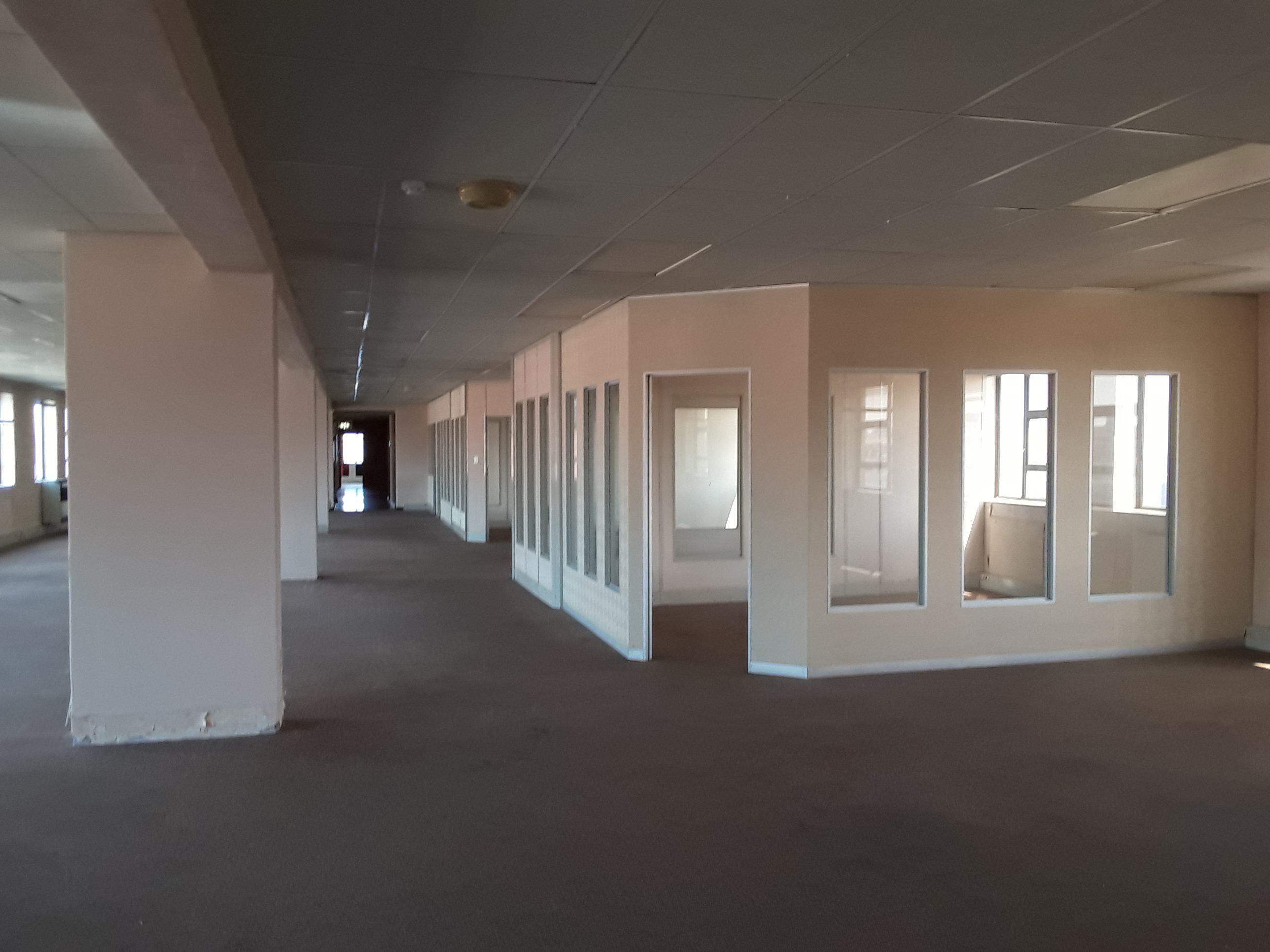 800m² Office Space to rent at Surrey Ave in Ferndale