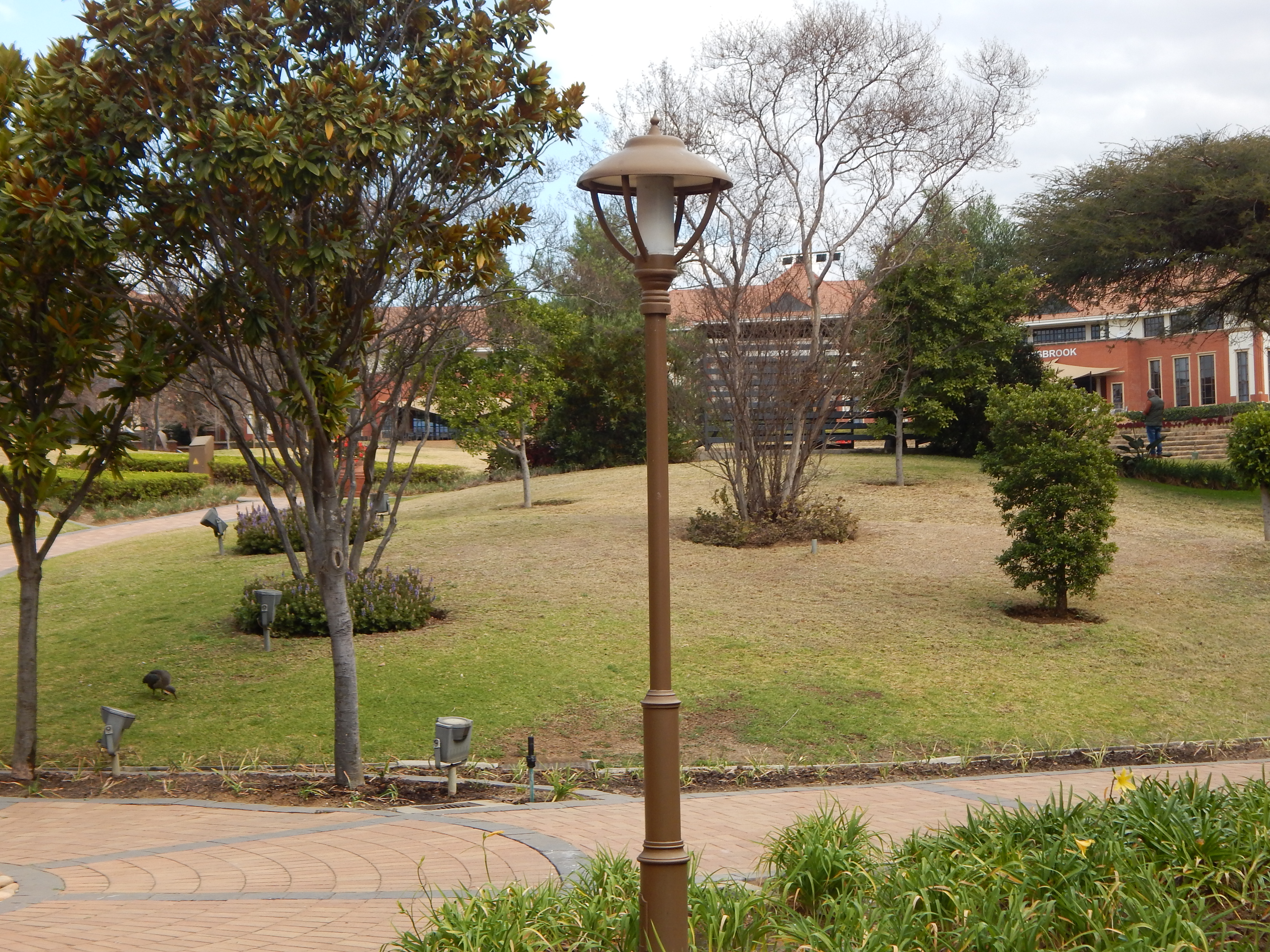 Office Space to rent at The Campus in Bryanston