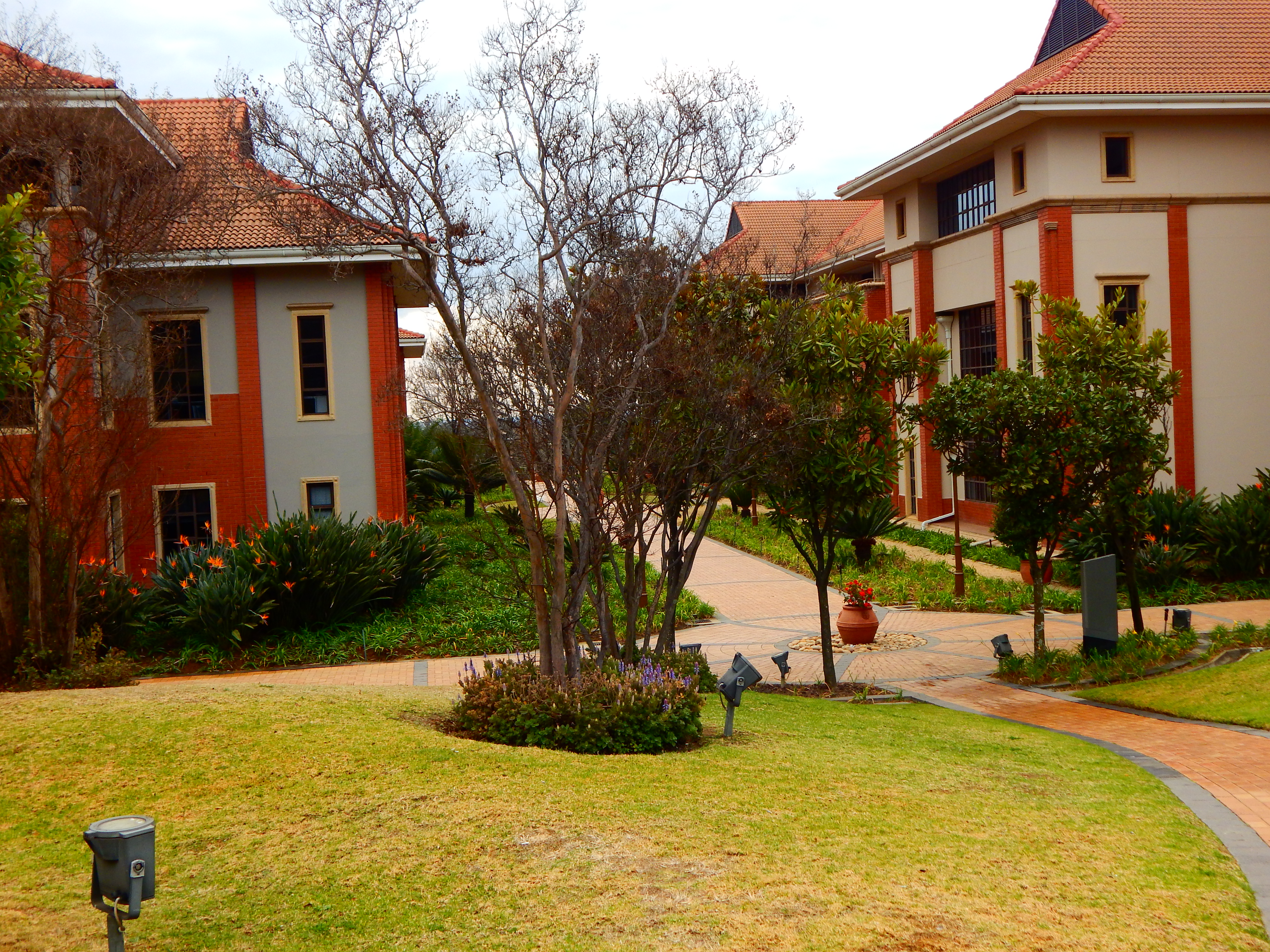 Office Space to rent at The Campus in Bryanston