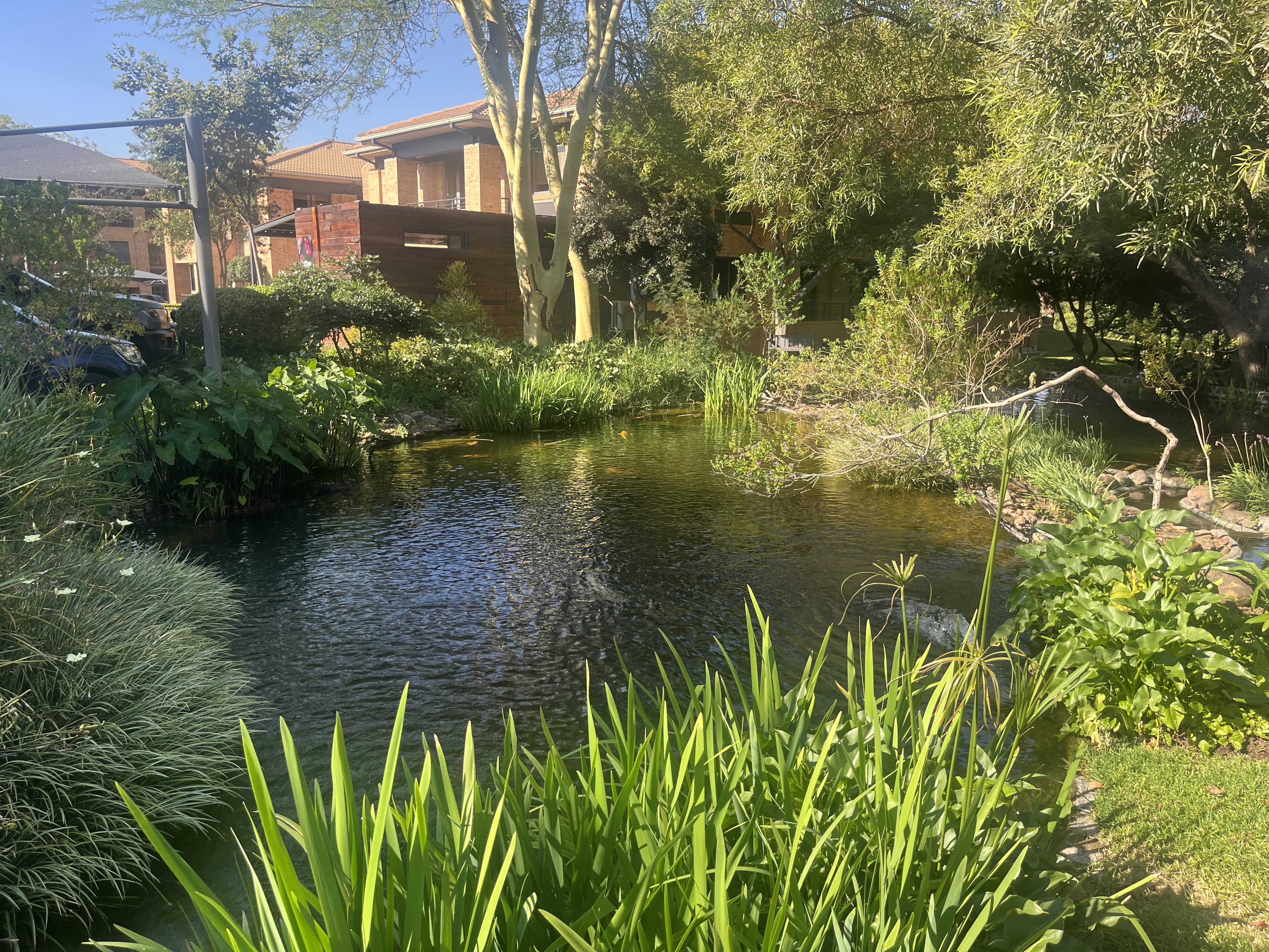 Office Space to rent at  in Bryanston