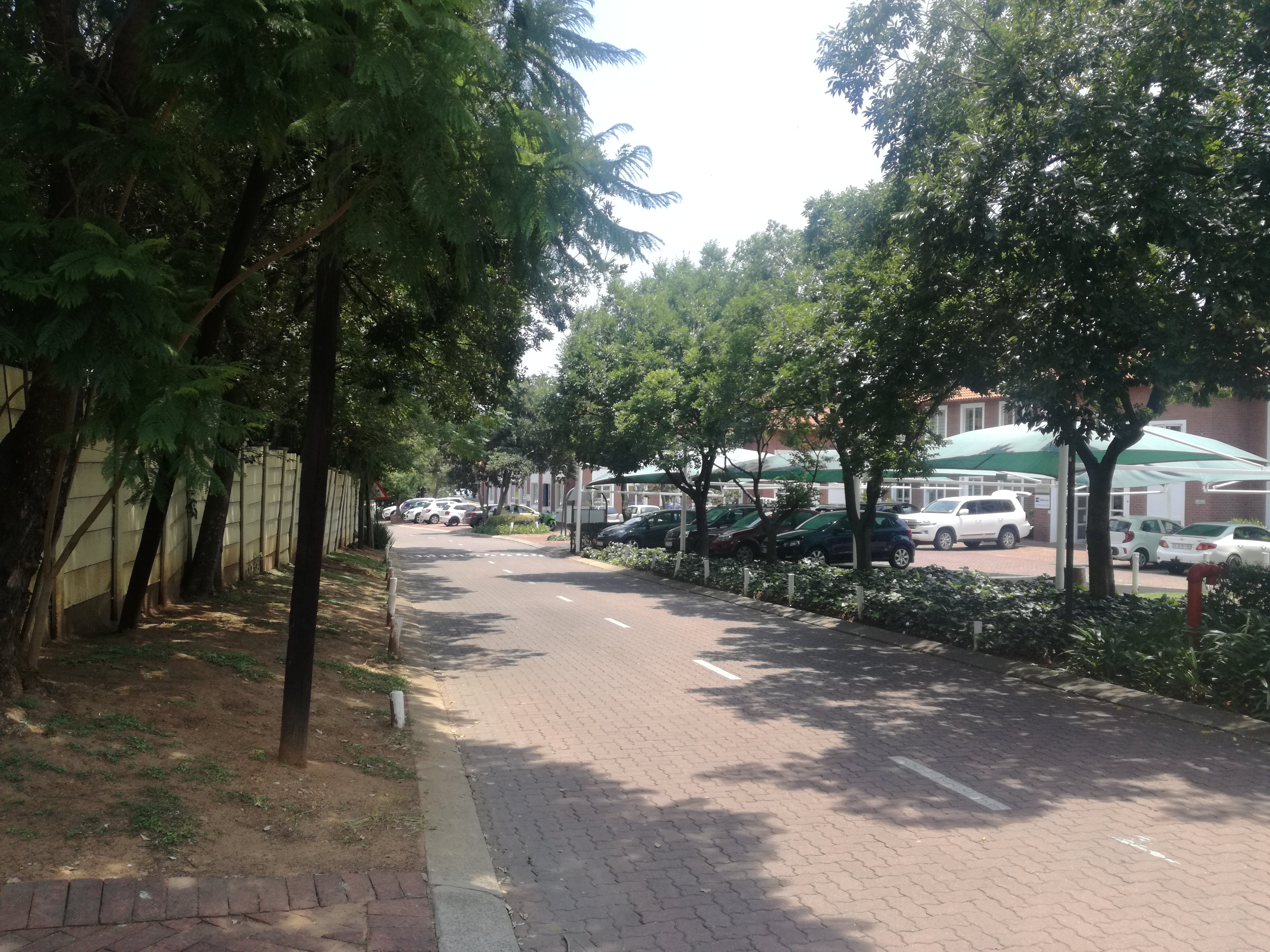 263m² Office Space to rent at Burnside Island in Craighall Park