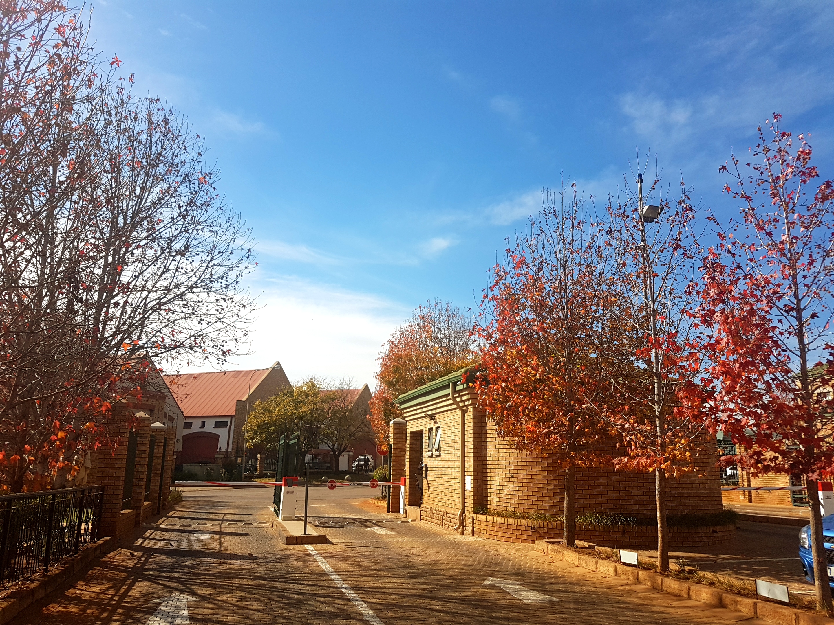 900m² Office Space to rent at Cambridge Office Park (Highveld Techno Park) in Highveld Techno Park