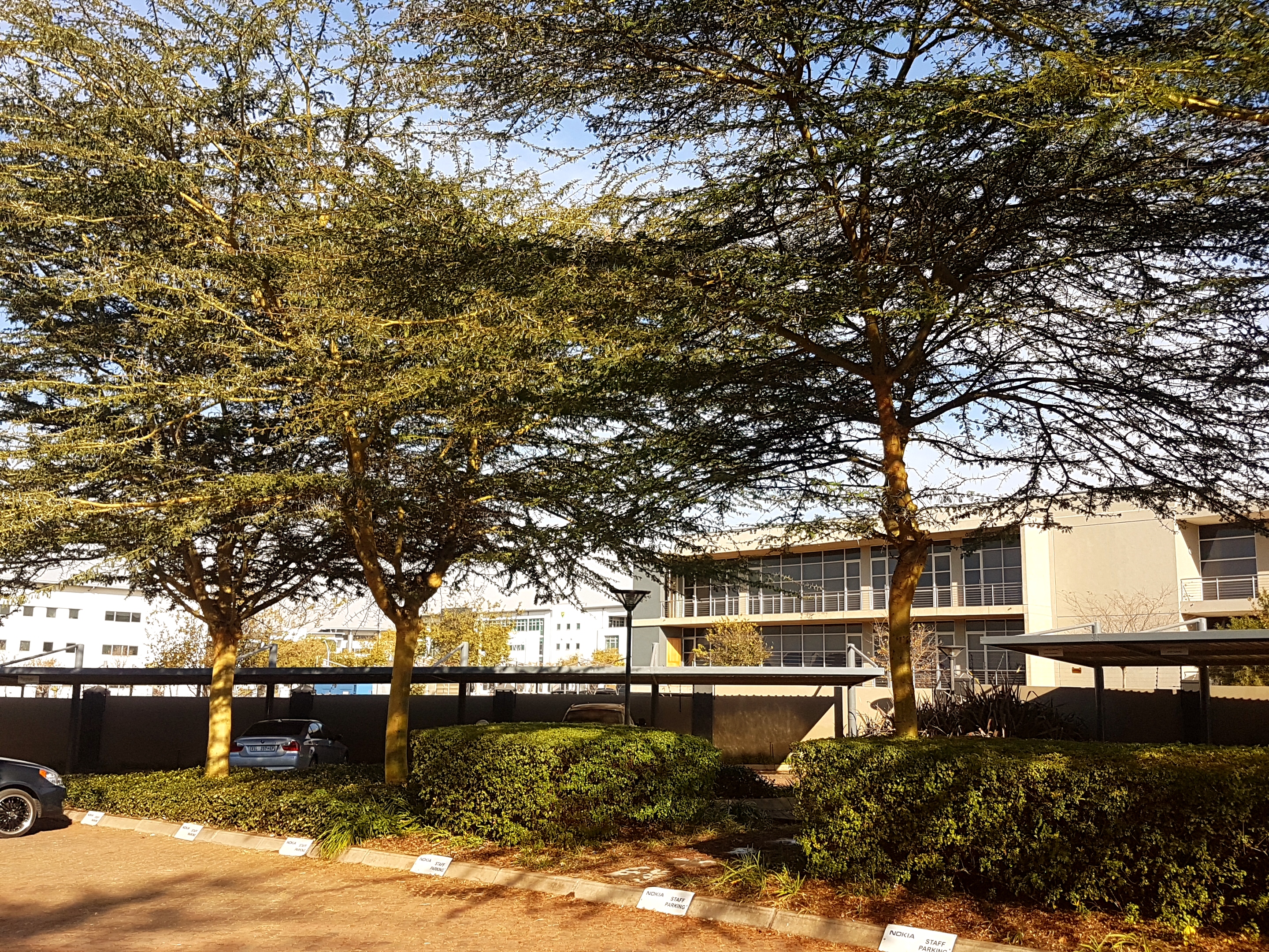 86m² Office Space to rent at Eco Court in Highveld Techno Park