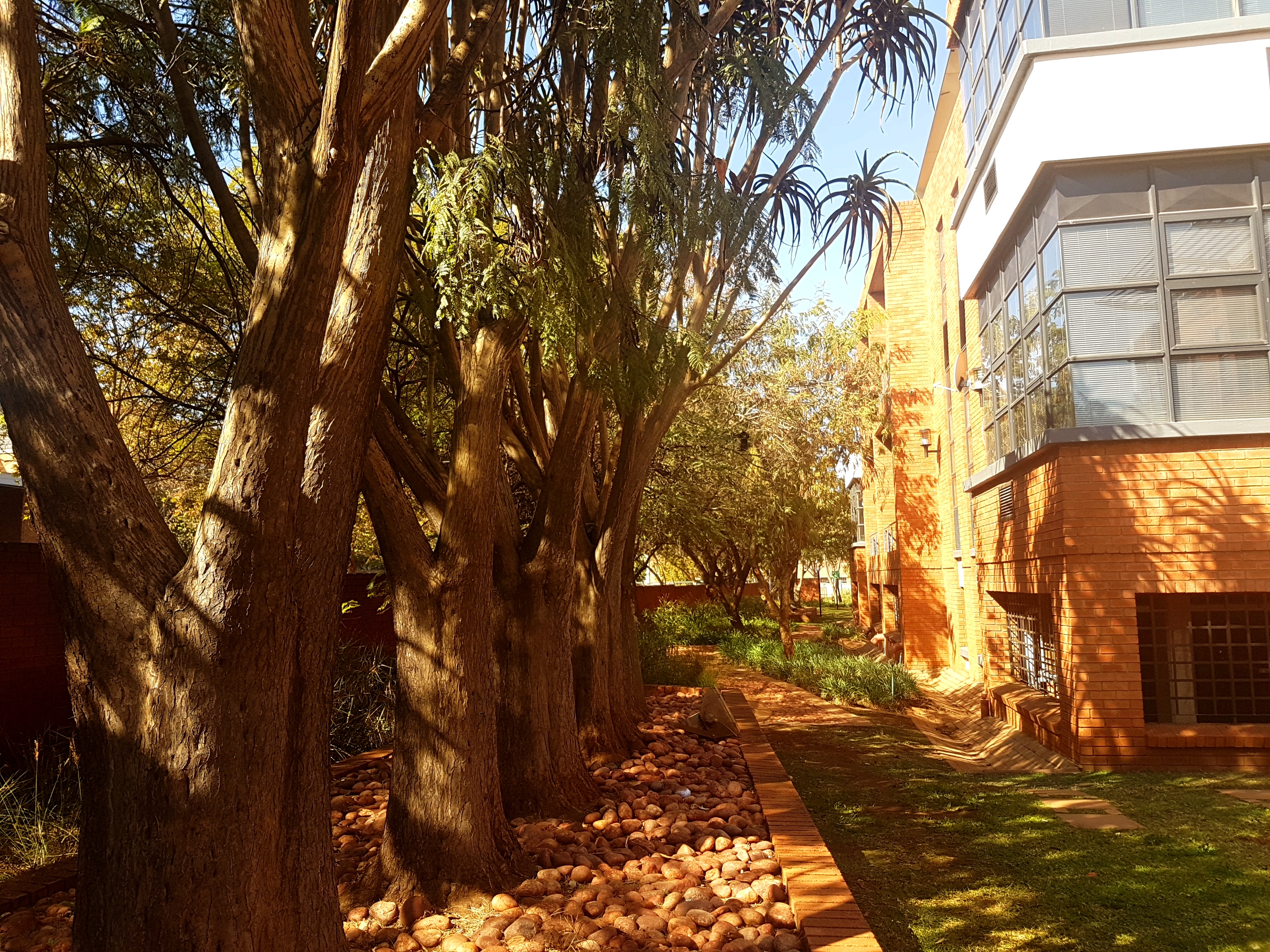 131m² Office Space to rent at Eco Fusion 4 in Highveld Techno Park