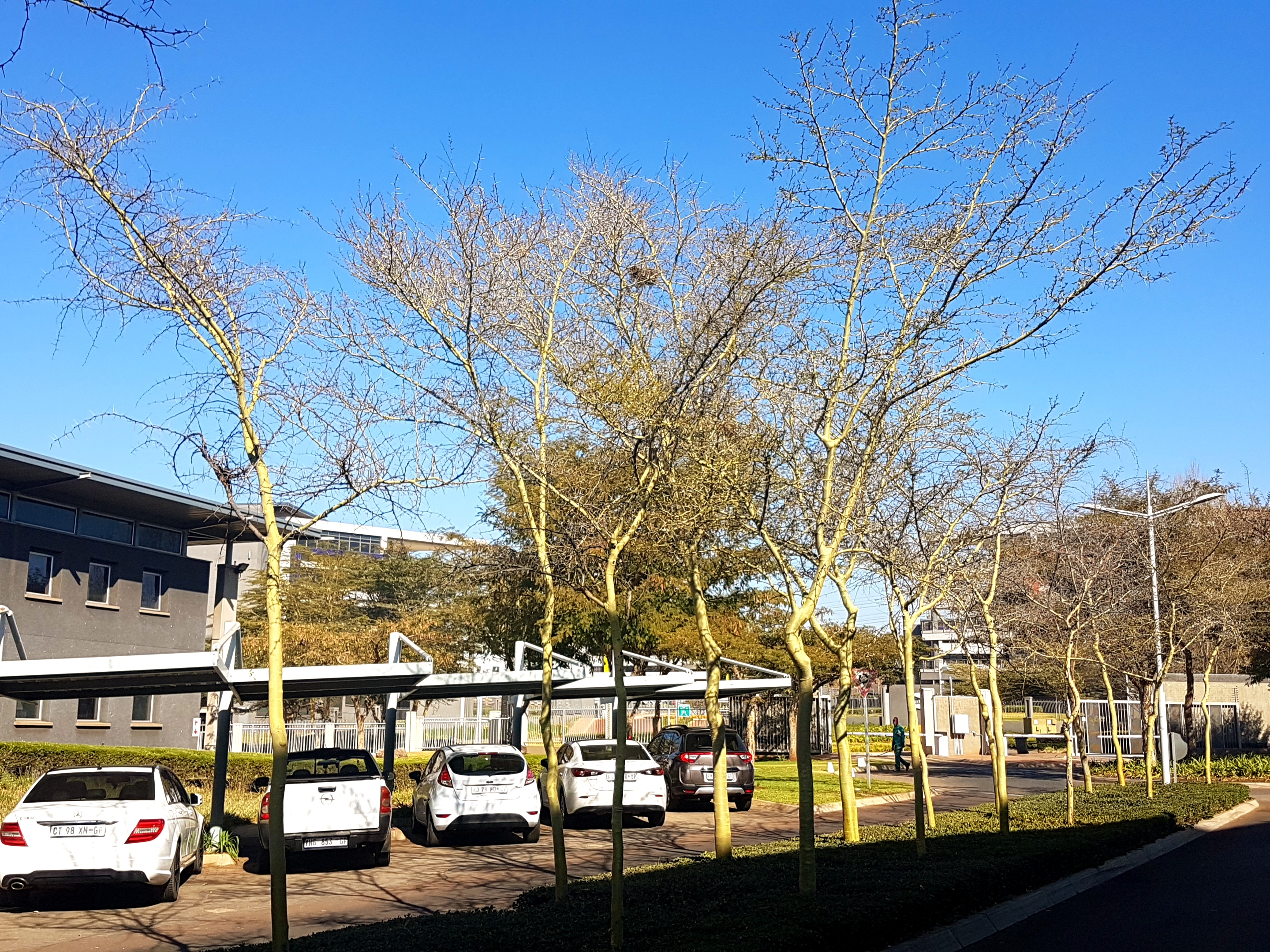 5 854m² Office Space to rent at Eco Glades 2 in Highveld Techno Park