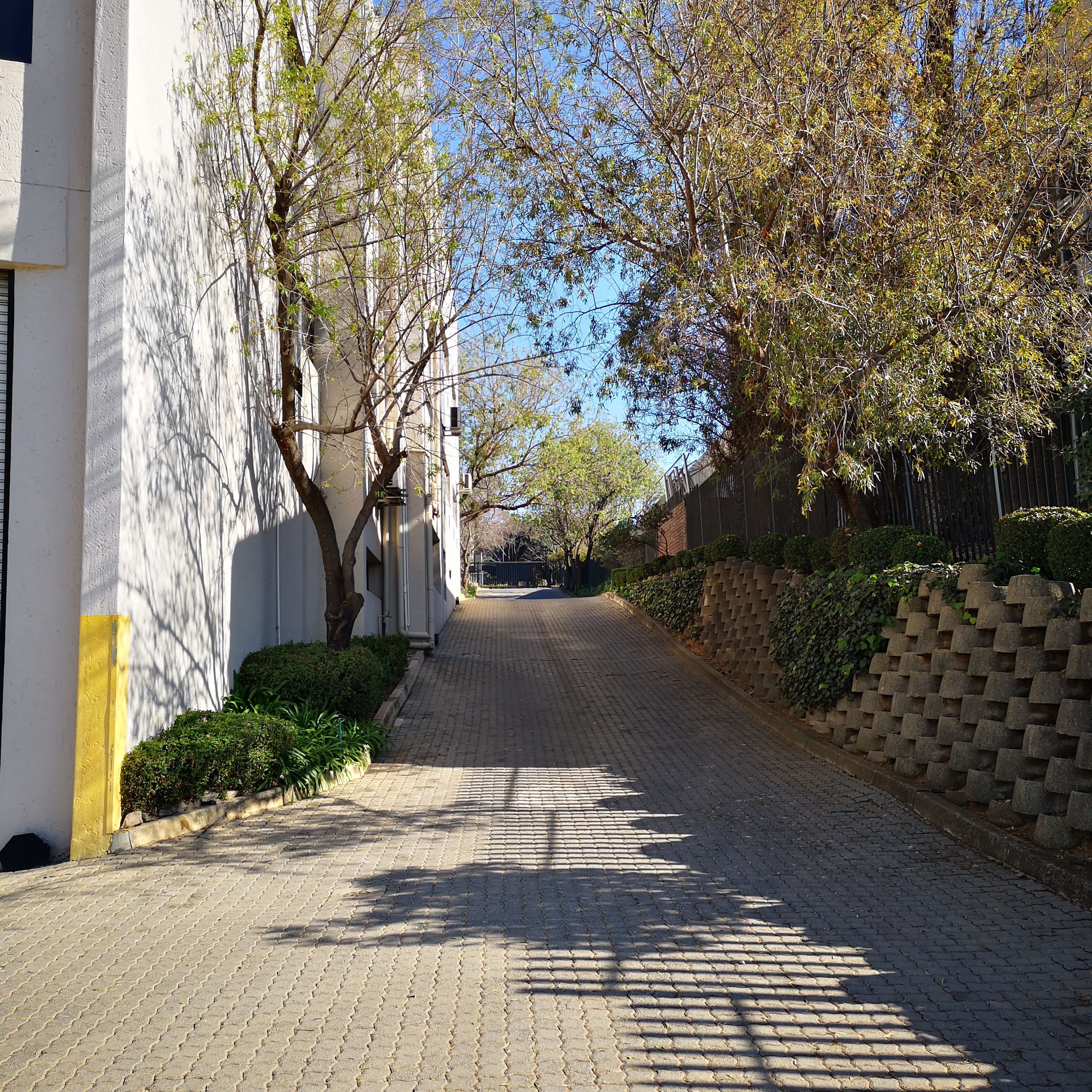 199m² Office Space to rent at Kyalami Business Park (41 Kyalami Boulevard) in Kyalami