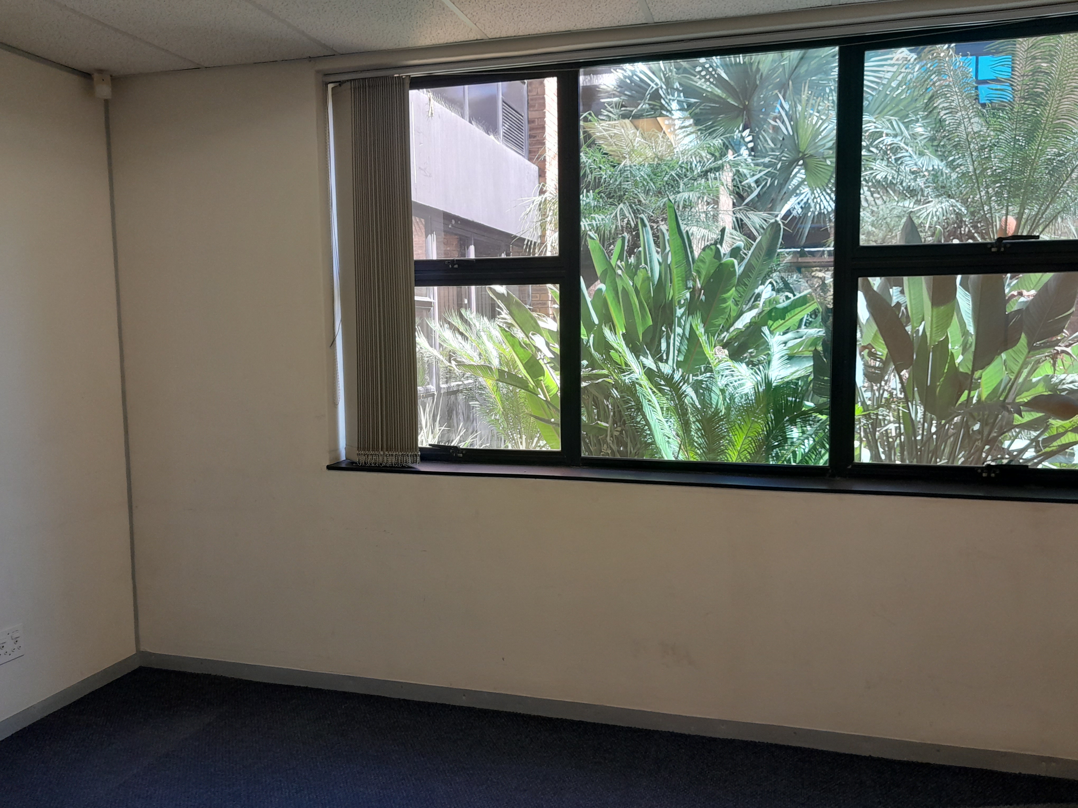 Office Space to rent at Travel House in Rosebank JHB