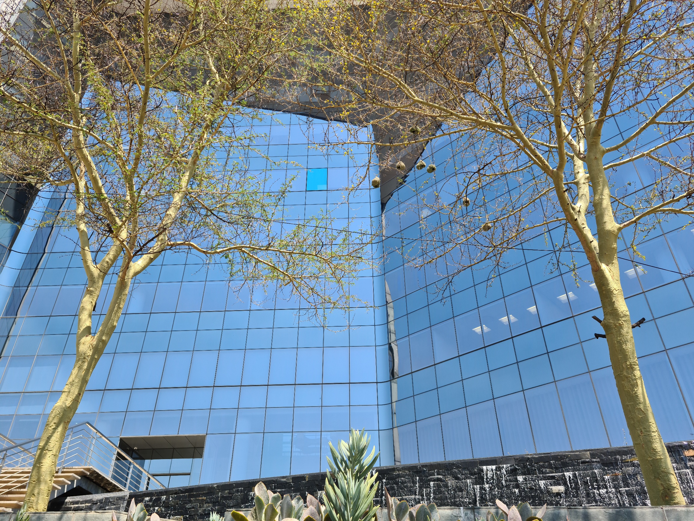 Office Space to rent at 1 Protea Place in Sandton Central