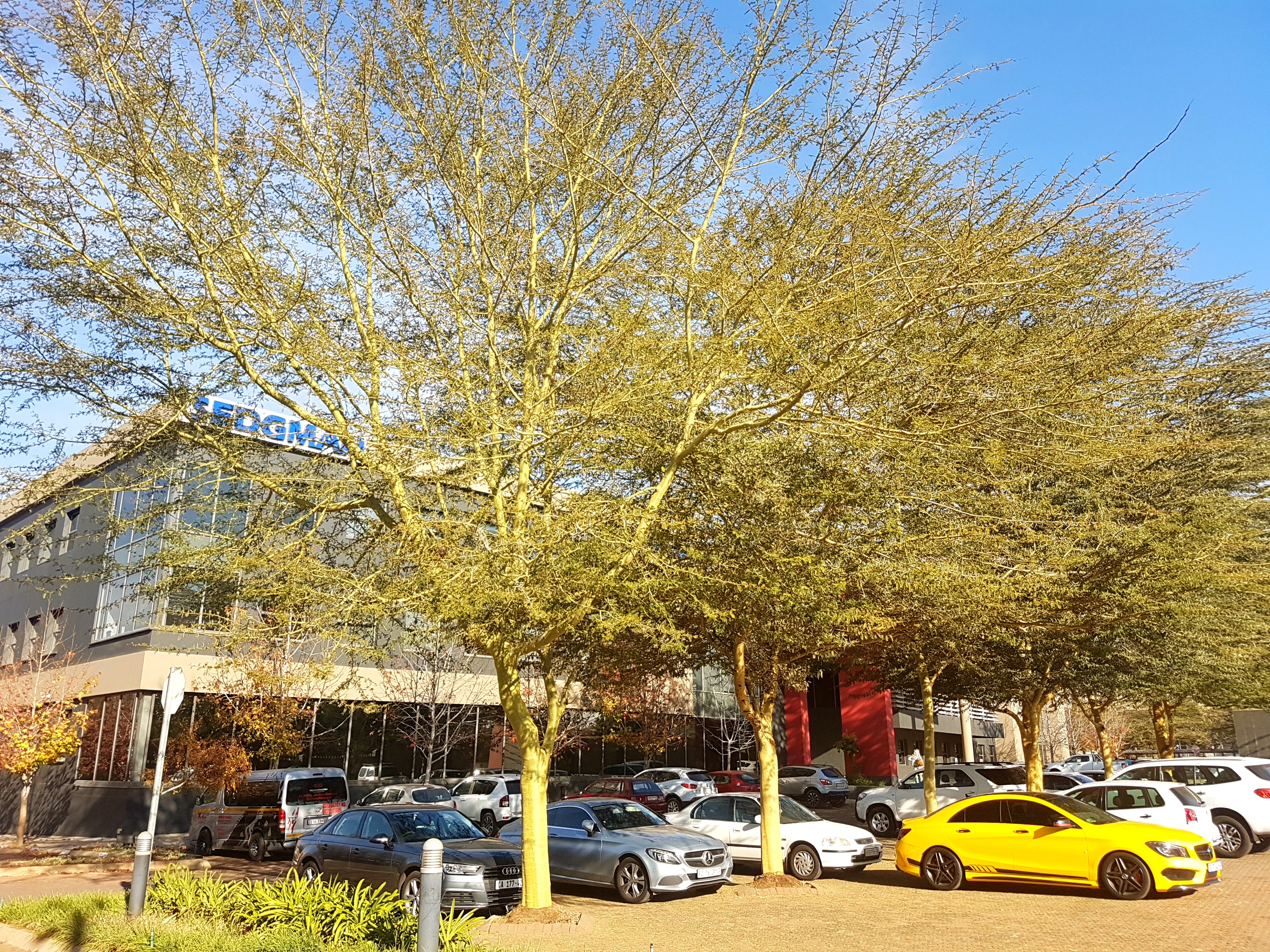 86m² Office Space to rent at Eco Court in Highveld Techno Park