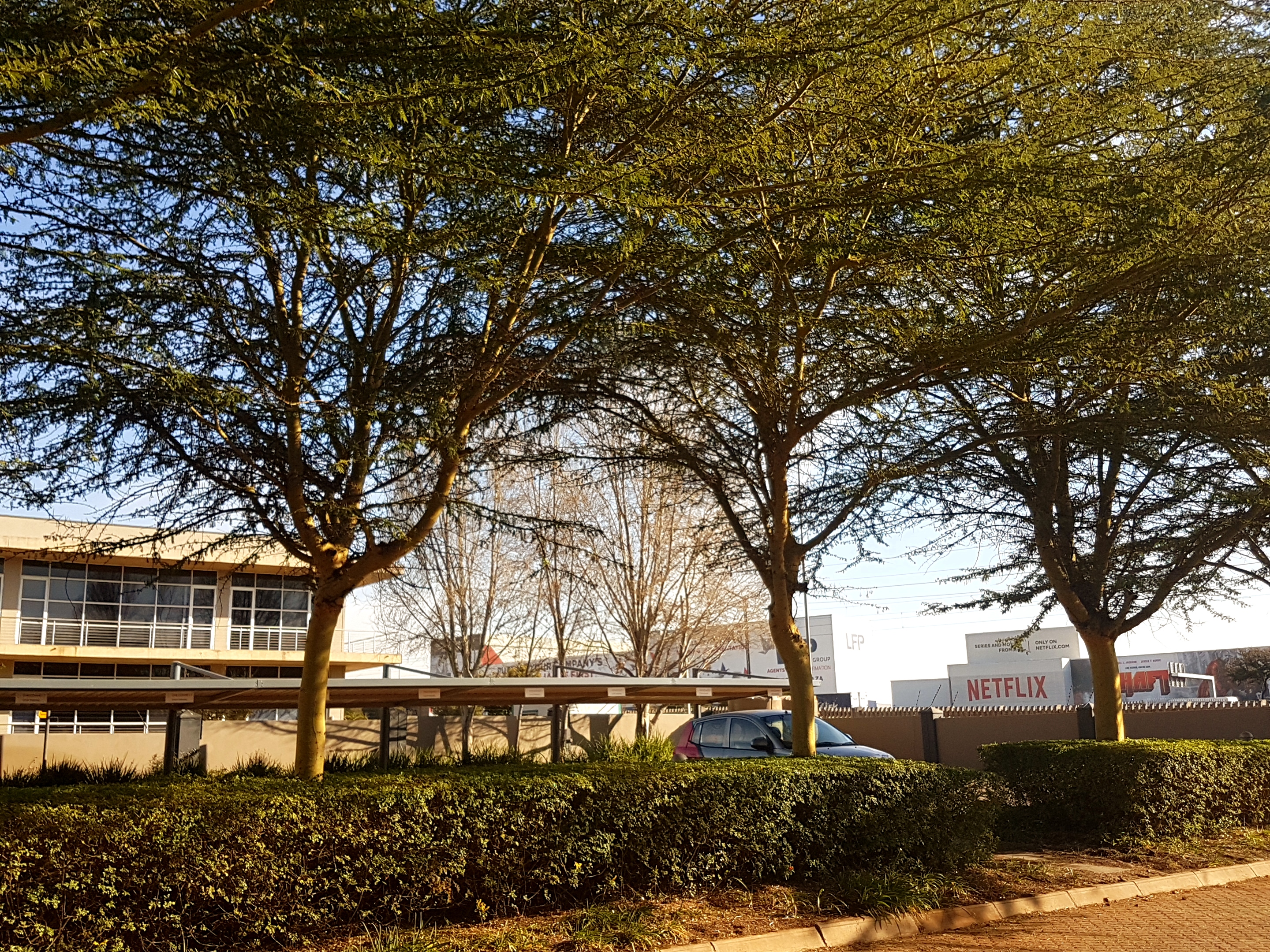 86m² Office Space to rent at Eco Court in Highveld Techno Park