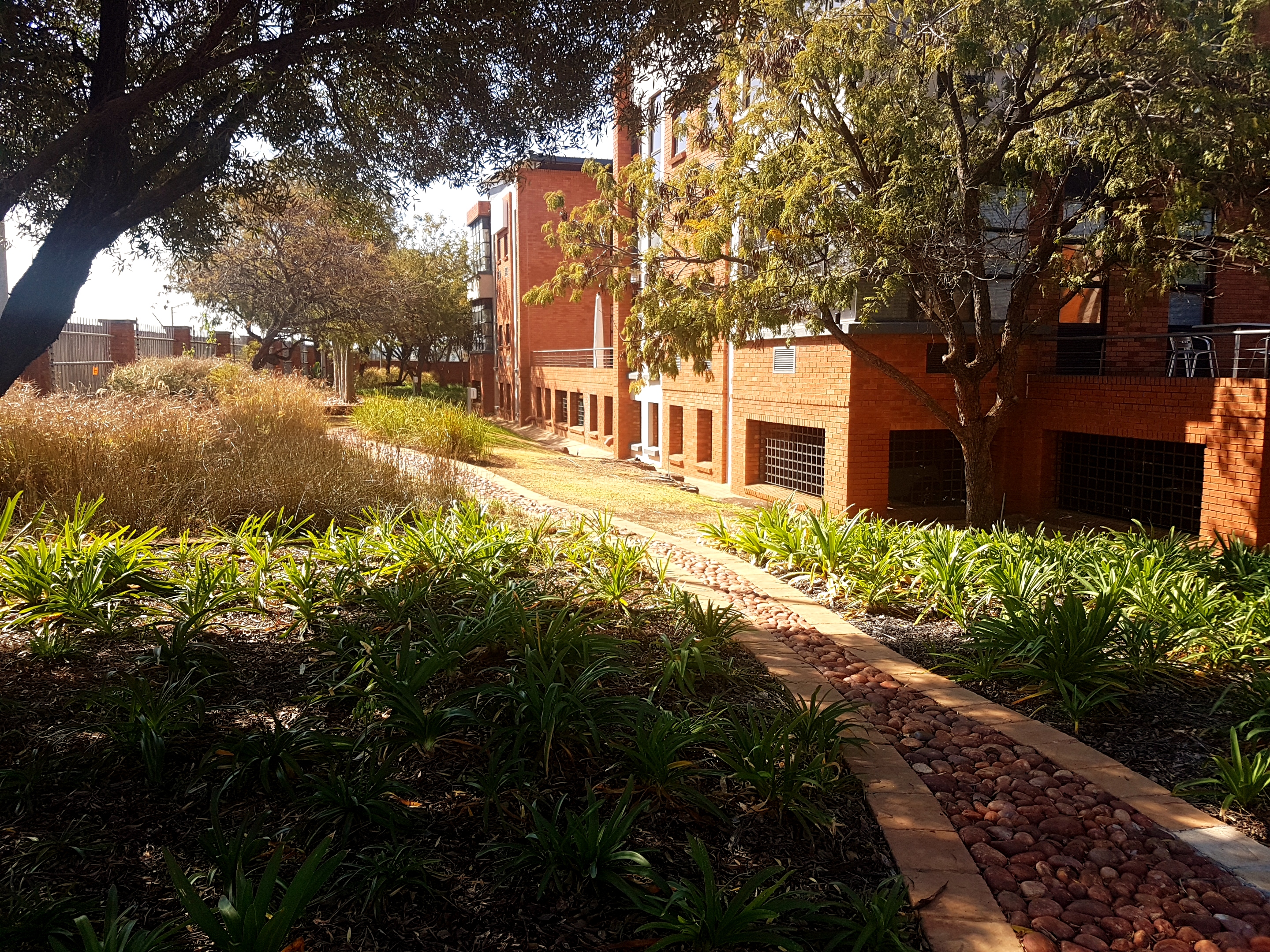 131m² Office Space to rent at Eco Fusion 4 in Highveld Techno Park