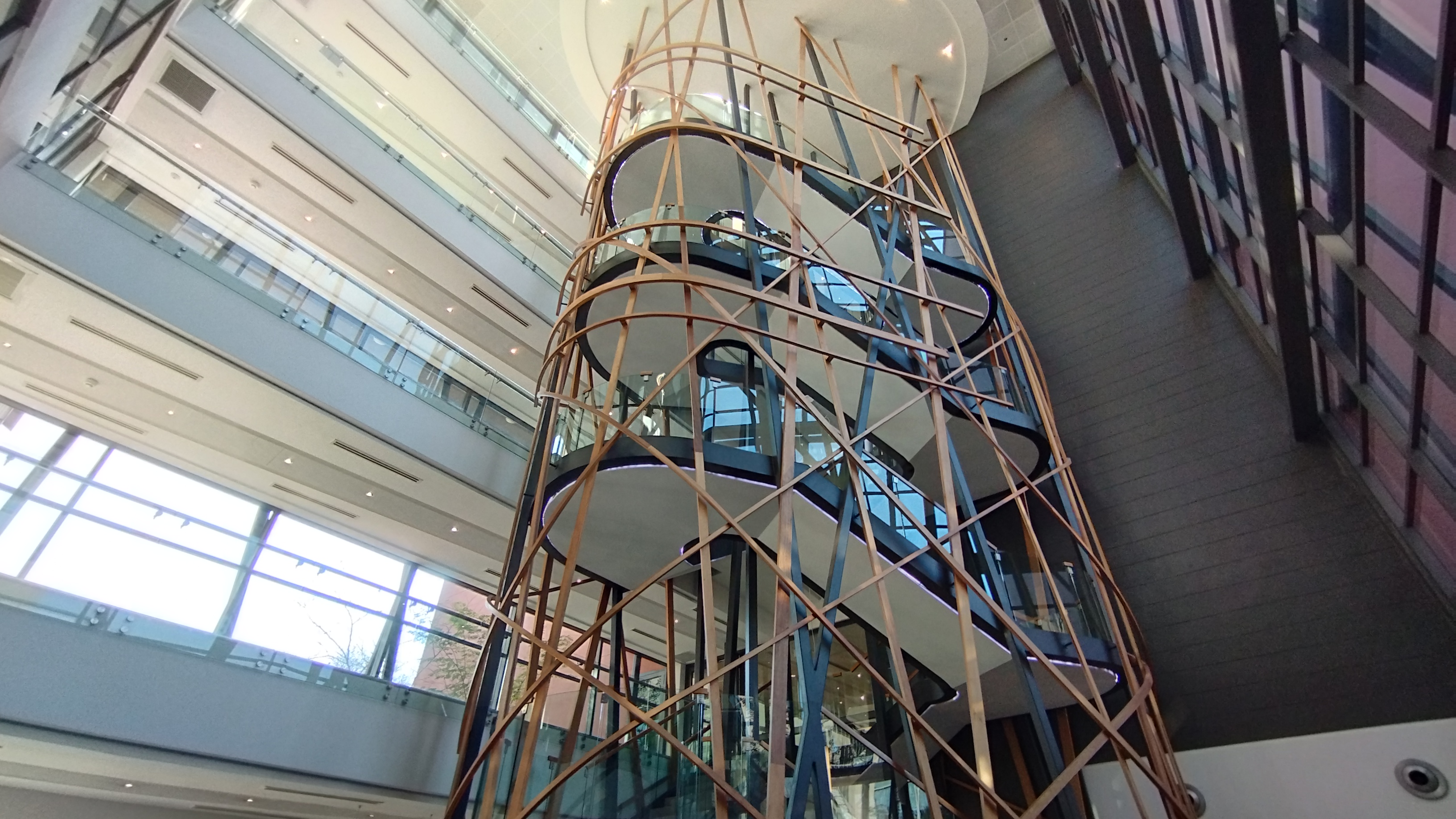Office Space to rent at Riverwalk Office Park in Newlands PTA