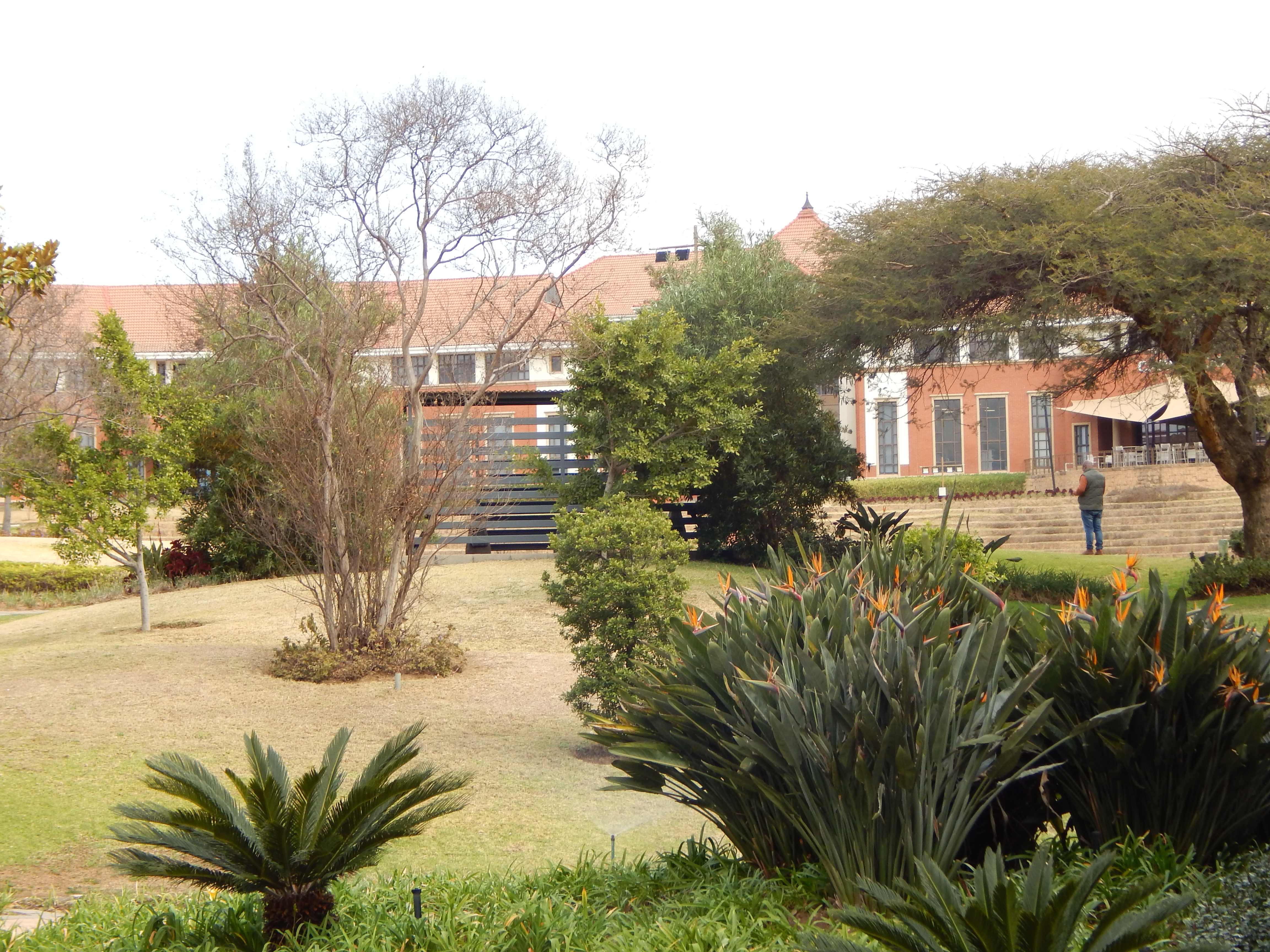 Office Space to rent at The Campus in Bryanston