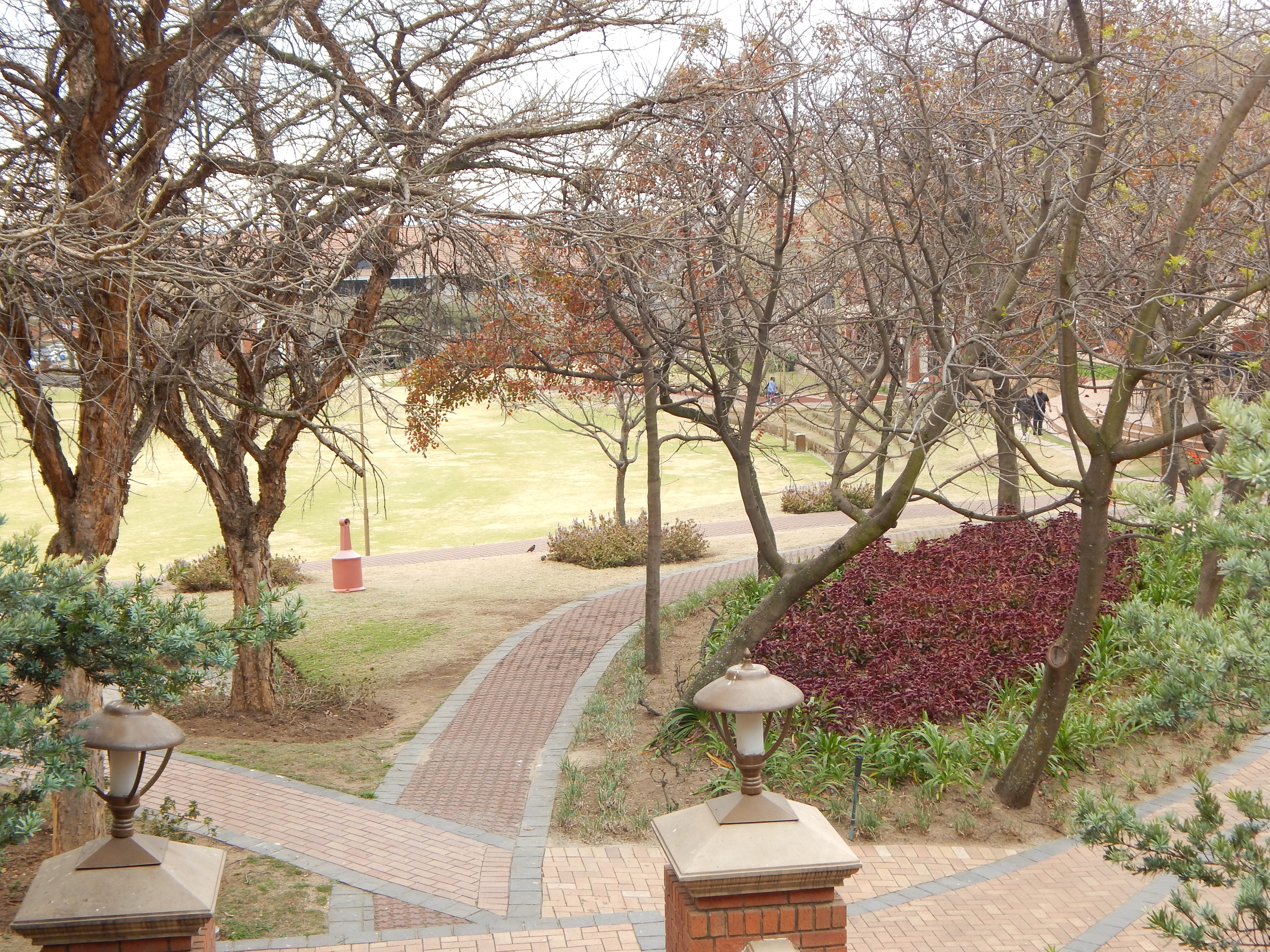Office Space to rent at The Campus in Bryanston