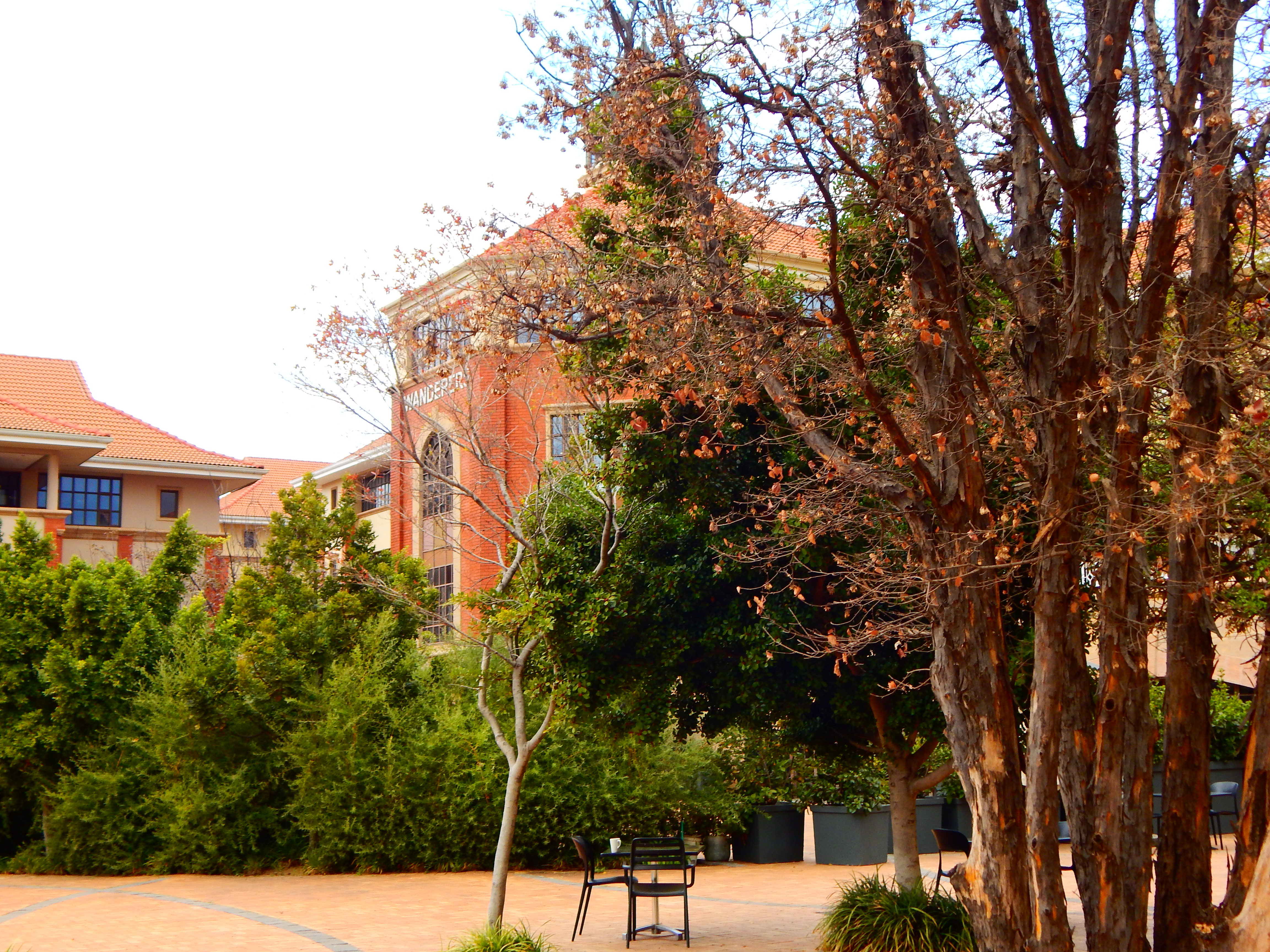 Office Space to rent at The Campus in Bryanston
