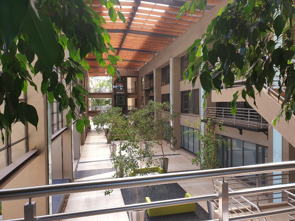 Office Space to rent at The Reserve in Illovo