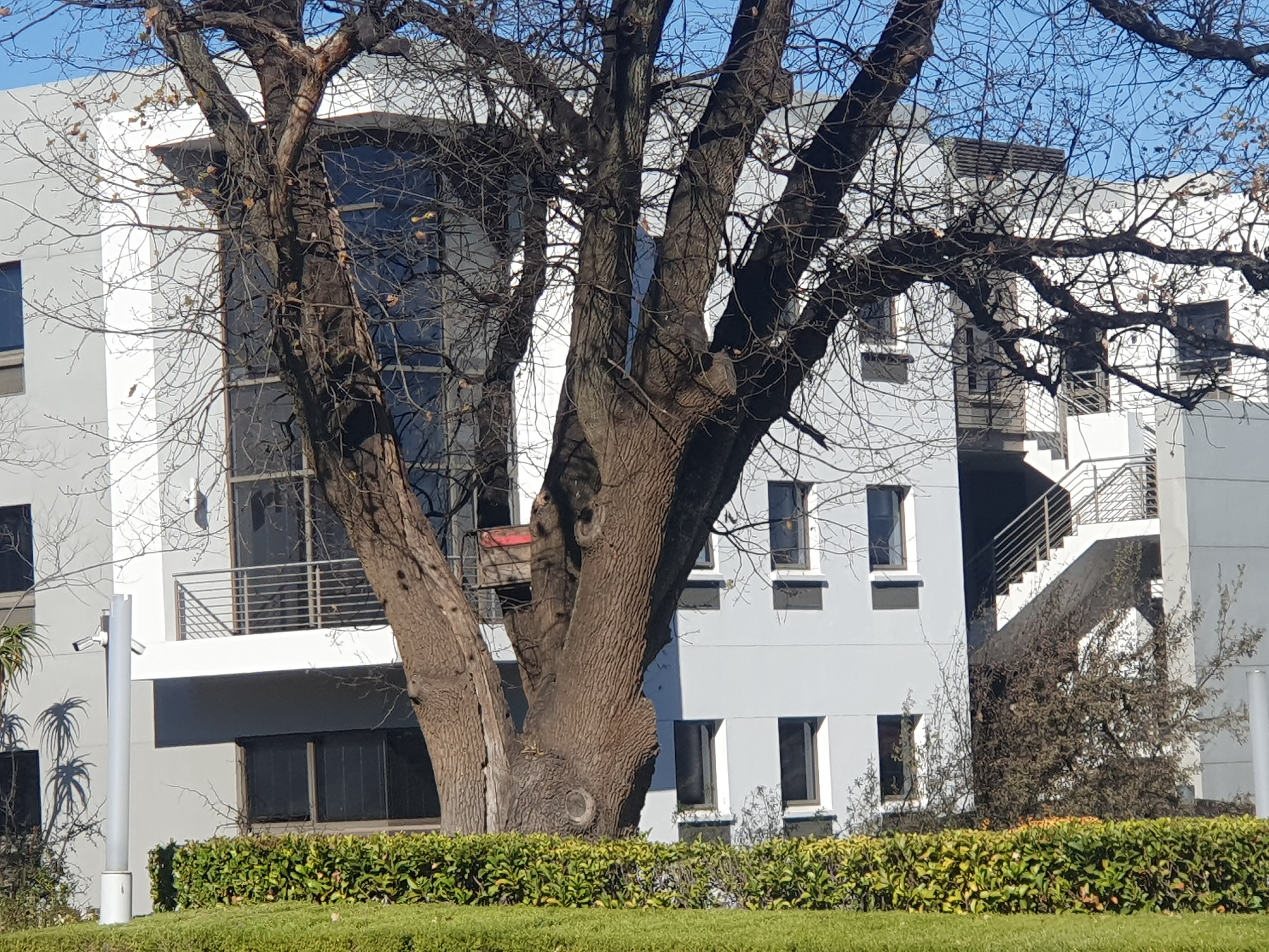 Office Space to rent at Westend Office Park in Die Hoewes